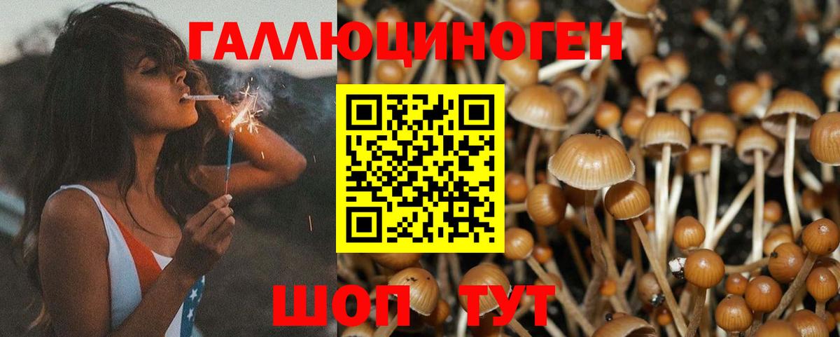Псилоцибиновые грибы GOLDEN TEACHER Томск
